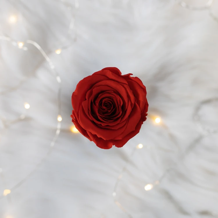 Flowerose.pl-113