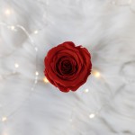 Flowerose.pl-113