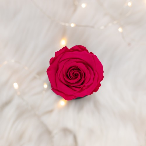 Flowerose.pl-115