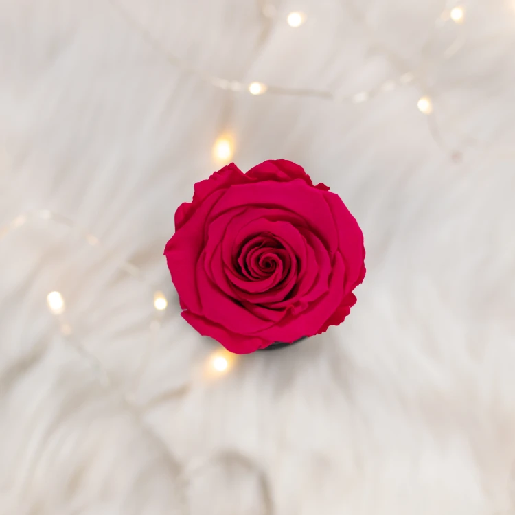 Flowerose.pl-115