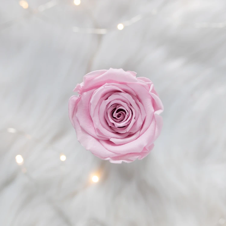 Flowerose.pl-110