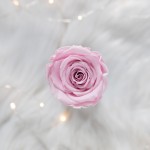 Flowerose.pl-110