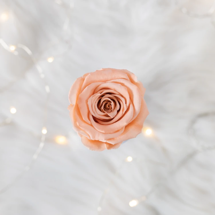 Flowerose.pl-111