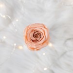 Flowerose.pl-111