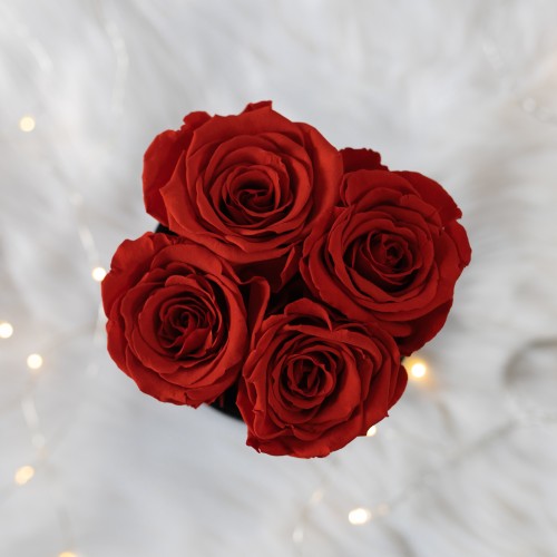 Flowerose.pl-105
