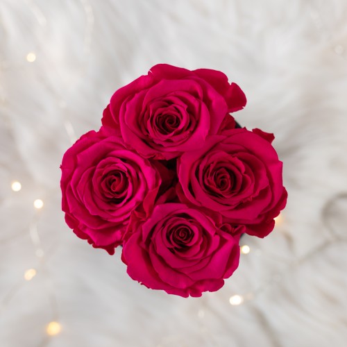 Flowerose.pl-104