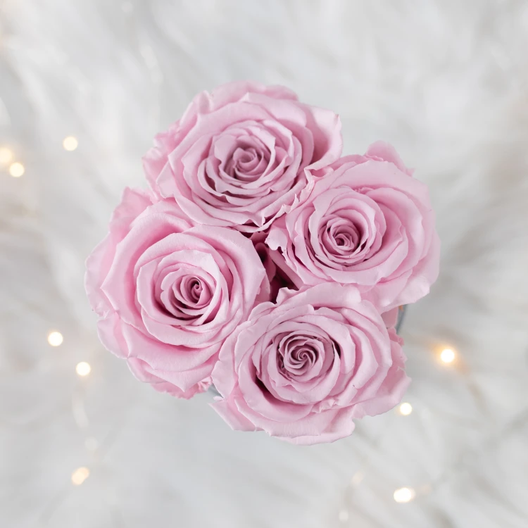 Flowerose.pl-106