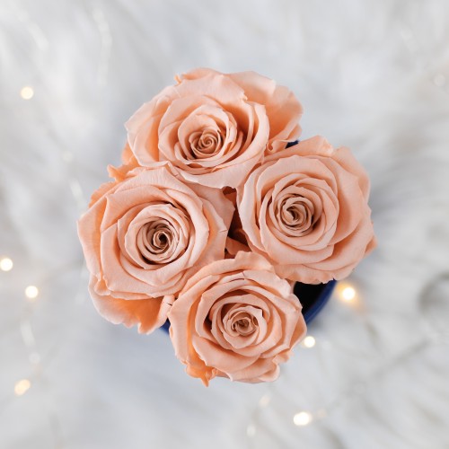 Flowerose.pl-107