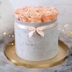 Brzoskwiniowe wieczne róże szary flowerbox VELVET L