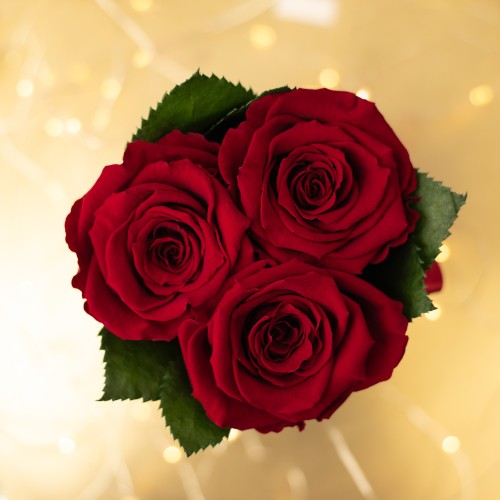 Flowerose.pl-33