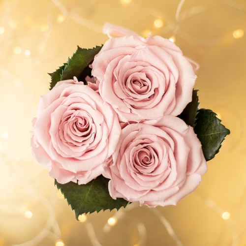 Flowerose.pl-35