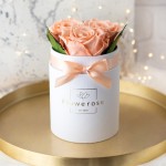 Brzoskwiniowe wieczne róże biały flowerbox CLASSIC S / 3 róże