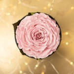 Flowerose.pl-30