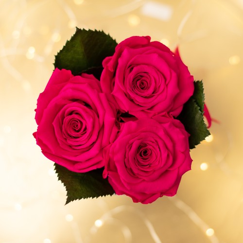 Flowerose.pl-31