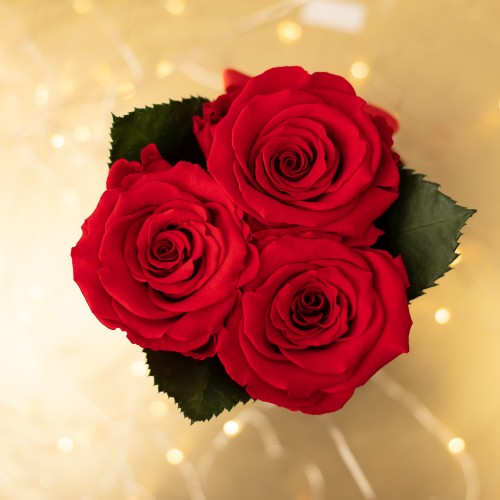 Flowerose.pl-32