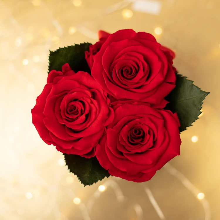 Flowerose.pl-32