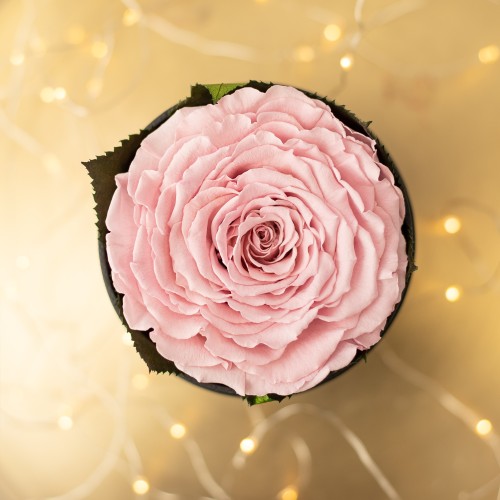 Flowerose.pl-30