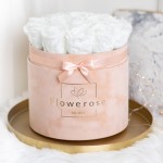 FLOWEROSE 22.04-045