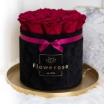 Burgundowe wieczne róże czarny flowerbox VELVET L  