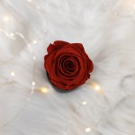 Flowerose.pl-114