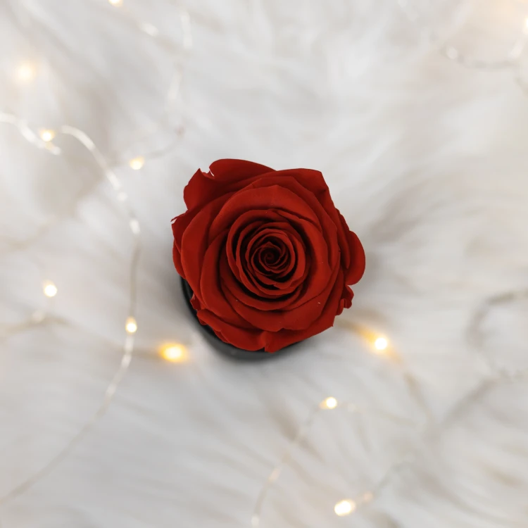 Flowerose.pl-114