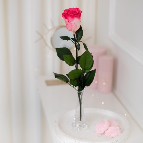 FLOWEROSE 22.04-163