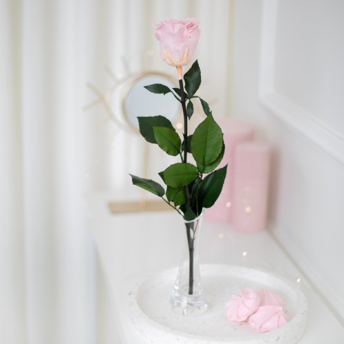FLOWEROSE 22.04-154