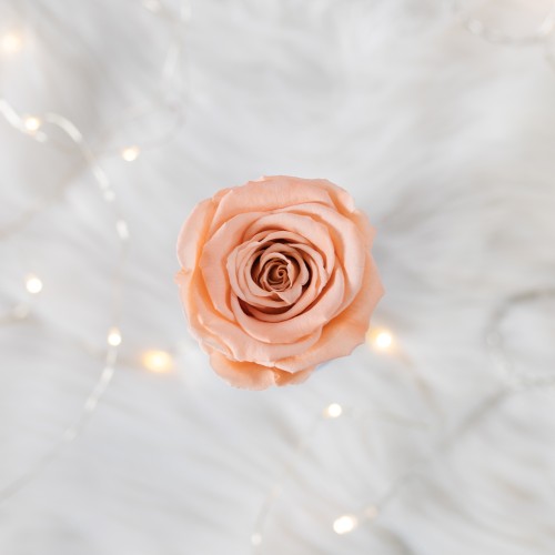 Flowerose.pl-111