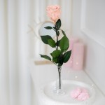 FLOWEROSE 22.04-156