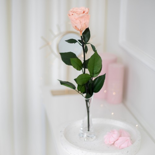 FLOWEROSE 22.04-156