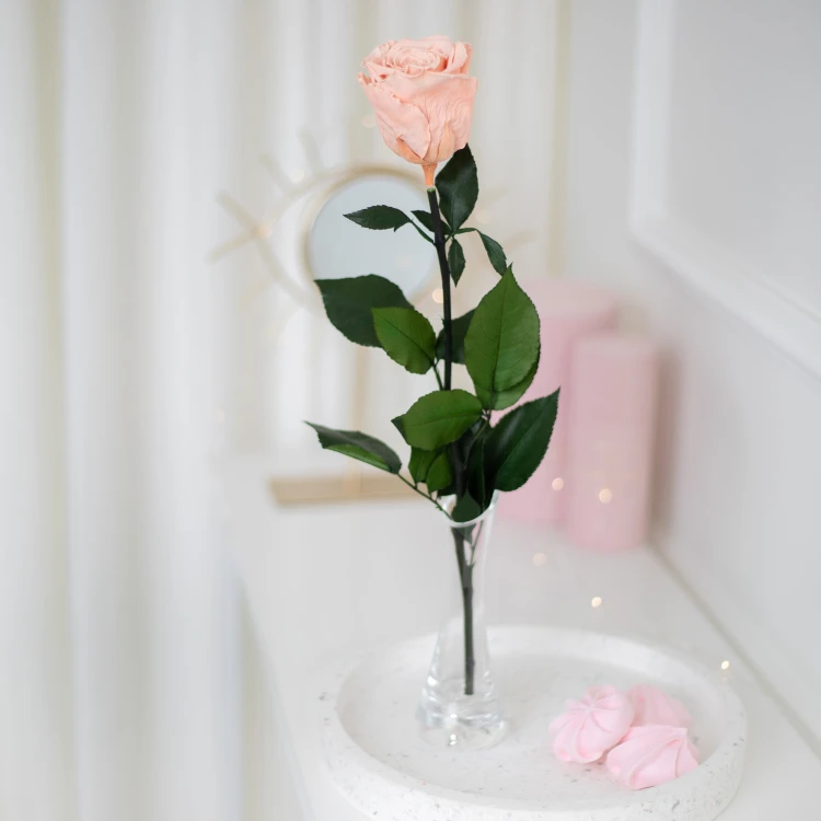 FLOWEROSE 22.04-156