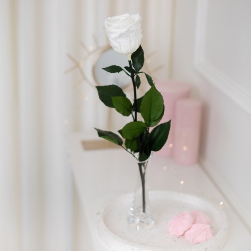 FLOWEROSE 22.04-162