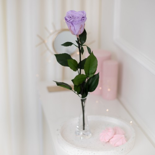 FLOWEROSE 22.04-176