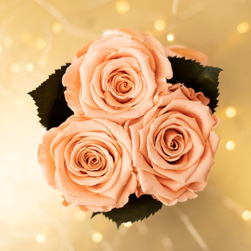 Flowerose.pl-34