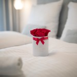 _68A8398.jpg