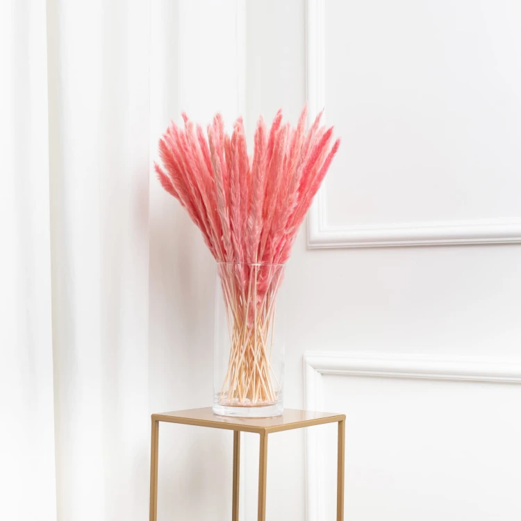 trawy_flowerose-9.jpg